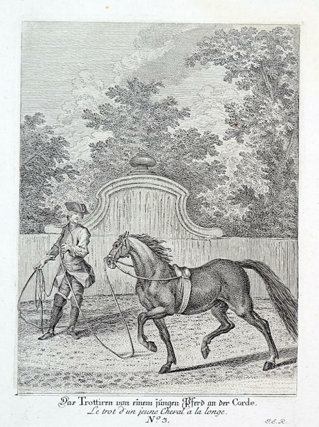 Ridinger, Johann Elias. - Pferdedressur. - Kleine Reitschule. - "Das Trottieren von einem jüngeren Pferd an der Corde".