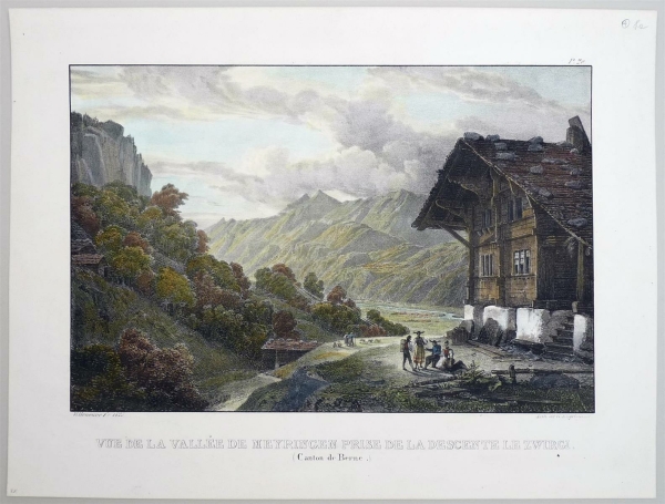 Meiringen. - Vue de la Vallée de Meyringen prise de la Descente le Zwirgi.