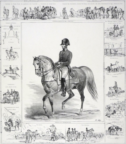 Pferde und Jagd. - Mehransichtenblatt. - "École Royale de Cavalerie 1833".