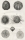 Seeigel (Echinoidea). - Diderot Histoire Naturelle. - "Histoire Naturelle, Oursins.".