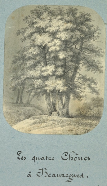 Eichen (Quercus). - Ansicht. - "Les quatre Chêne à Beauregard".