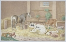 Pferd, Schafe und Kuh. - Tiere im Stall.