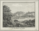 Hirschhorn (Neckar). - Gesamtansicht. - "782. Hirschhorn am Neckar".
