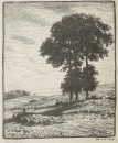 Volkmann, Hans Richard von. - "Baumgruppe".