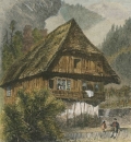 Schwarzwald. - "Schwarzwälder Bauernhaus".