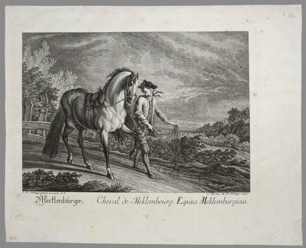 Ridinger, Johann Elias. - Mecklenburger.