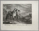 Ridinger, Johann Elias. - "Mecklenburger".