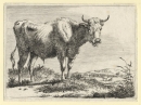 Pieter van Os attr.. - "Grasende Kuh".