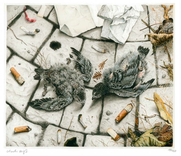 Voigt, Martin  -  "Zwei tote Taubenküken"  -  Fine Art Print
