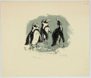 Diez, Christa. - "Drei Pinguine".