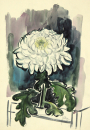 Diez, Christa. - "Weiße Chrysantheme".